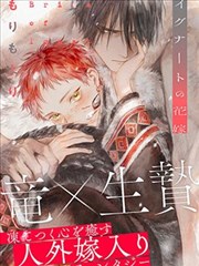 fate动漫 Fate Zero 漫画版 单行本封面